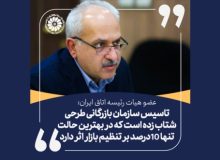 تاسیس سازمان بازرگانی طرحی شتاب زده است که در بهترین حالت تنها ۱۰درصد بر تنظیم بازار اثر دارد