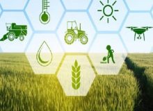 طرح ملی کشت قراردادی در ۹۸۰۰۰ هکتار از اراضی کرمانشاه اجرایی شد