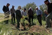 آغاز کاشت ۵۰۰۰ اصله درخت در بازی دراز قهرمان