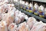 ذخایر استراتژیکی گوشت مرغ در کرمانشاه مطلوب است