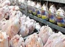 ذخایر استراتژیکی گوشت مرغ در کرمانشاه مطلوب است