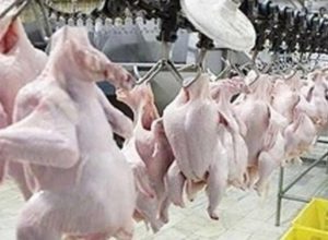 ۴ کشتارگاه متخلف ۵۳۰ میلیارد ریال جریمه شدند% - news% - IMG ۲۰۲۴۰۵۲۷ ۰۱۳۸۵۸ 1 300x220%