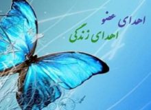 ثبت دومین اهدای عضو در سال ۱۴۰۳ در استان کرمانشاه