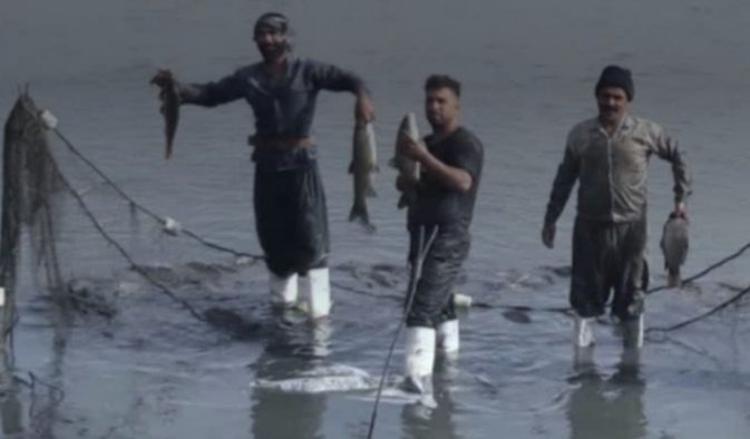 پیش بینی تولید بیش از ۲۳ هزار تن انواع آبزیان در استان کرمانشاه برای سال جاری