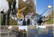 آغاز عملیات هرس و بازپیرایی درختان شهر کرمانشاه