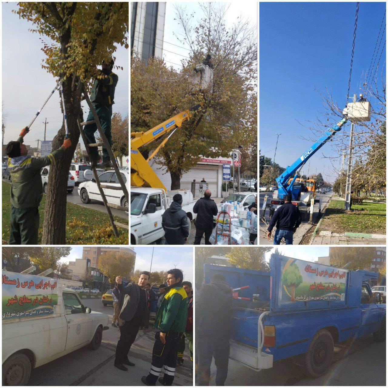 آغاز عملیات هرس و بازپیرایی درختان شهر کرمانشاه