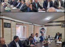 کرمانشاه در آستانه فصل برداشت، آماده اجرای طرح خرید تضمینی گندم شد