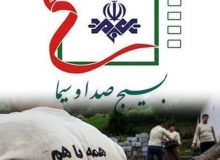 بسیج سازندگی نماد همت و ایثارگری است