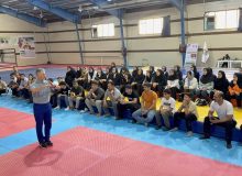 استقبال گسترده از برگزاری دوره سراسری داوری ووشو به میزبانی کرمانشاه