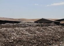 همت بلند شهرداری کرمانشاه برای اجرای پروژه RDF