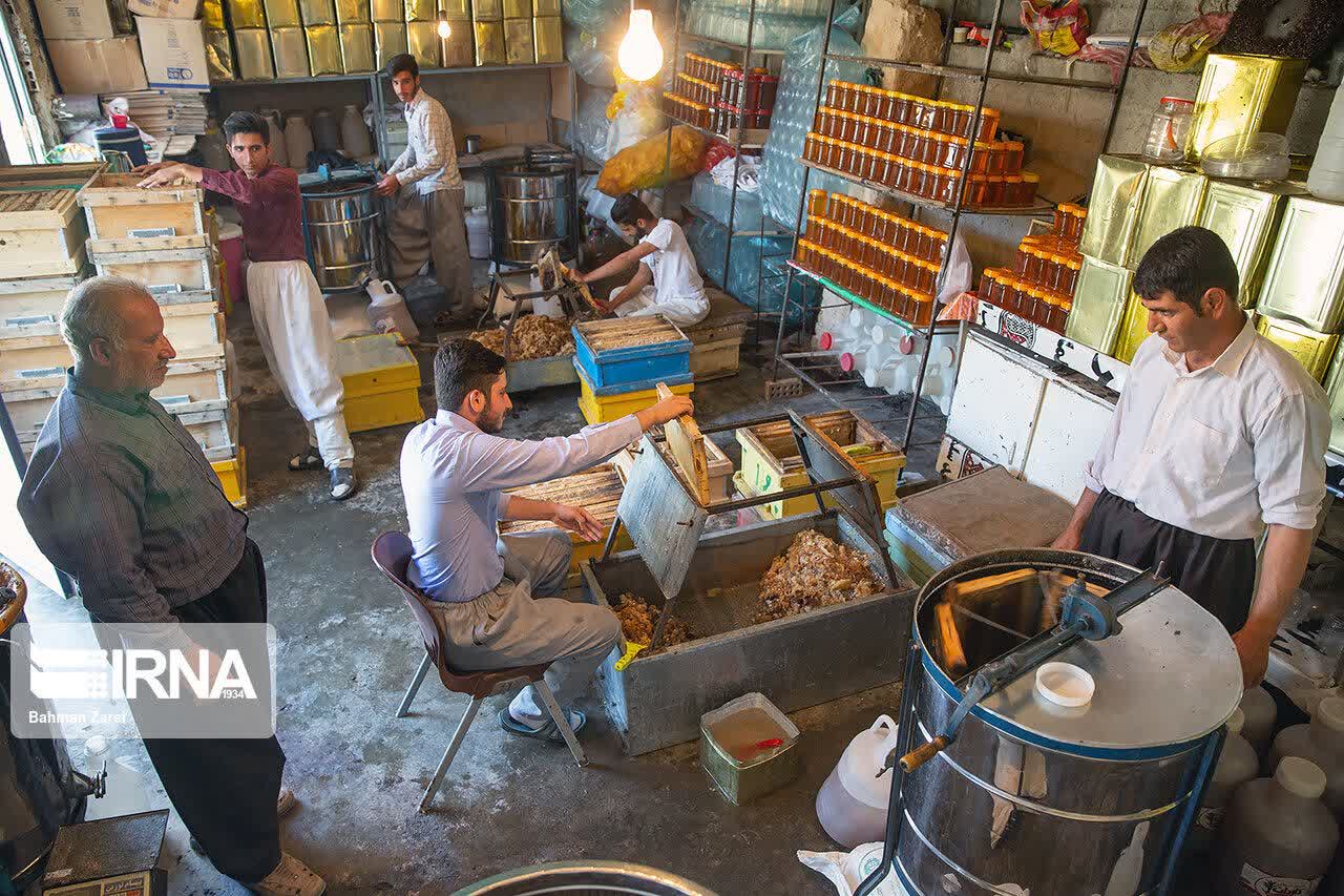 ثبت بیش از ۱۳ هزار فرصت شغلی در سامانه ملی رصد