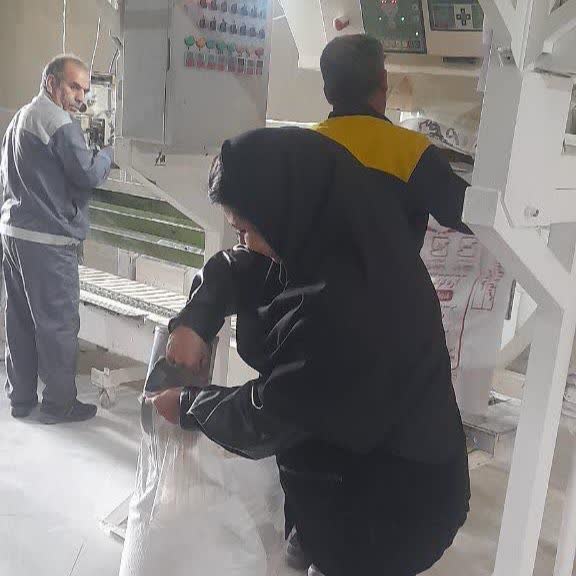 بازدید کارشناسی از کارخانههای آرد اسلامآبادغرب برای پایش کیفیت گندم و آرد