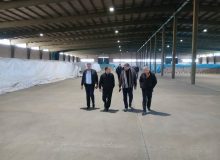 تأکید مسئولان بر توزیع منظم و مقابله با خرید هیجانی