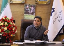 نرخ خرید تضمینی گندم اعلام شد